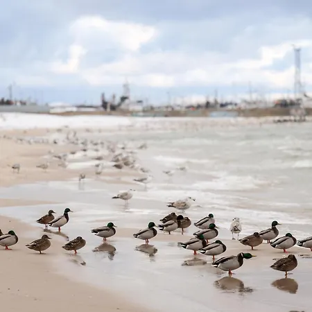 公寓 Kapitanski Pogorze