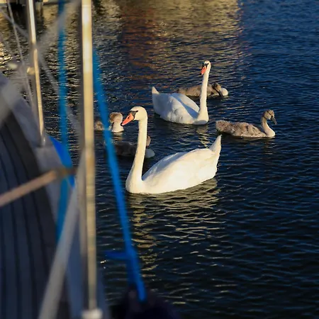 Daire Kapitanski Pogorze