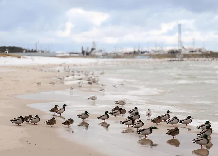 Lejlighed Kapitanski Pogorze
