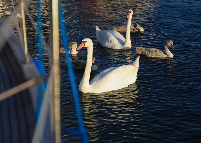 Lejlighed Kapitanski Pogorze